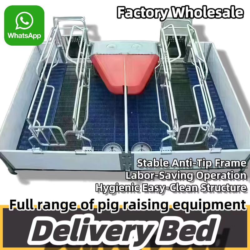 European farrowing stall for catamarans.jpg