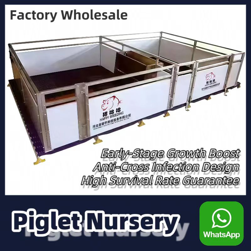 European piglet nursery bed.jpg