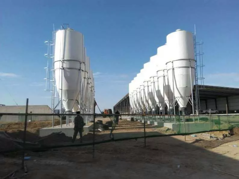 Automatic intelligent feeding system