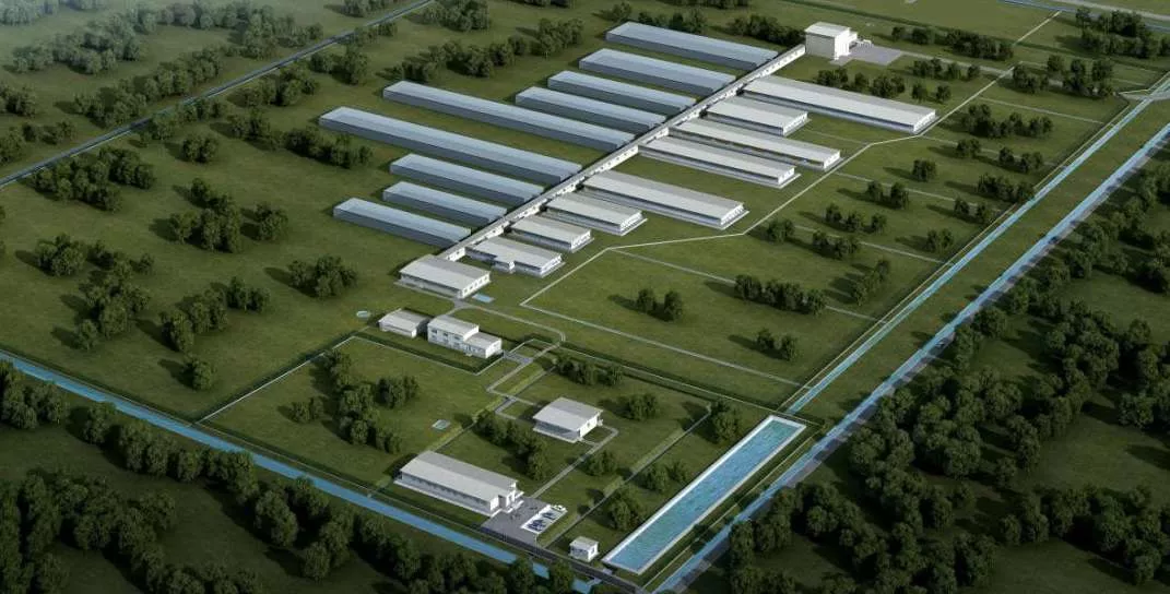 Pig farm planning and design