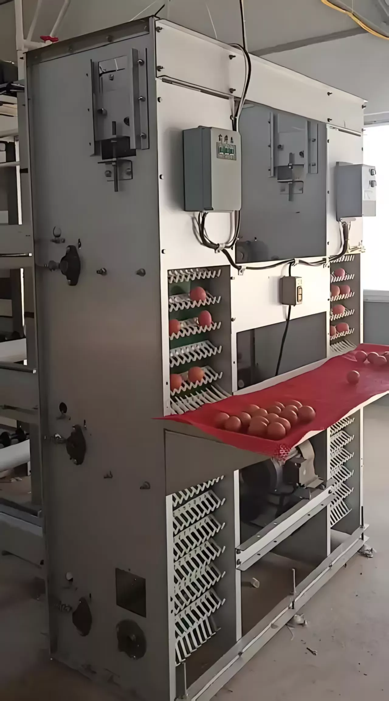 微信图片_20251219143305.jpg