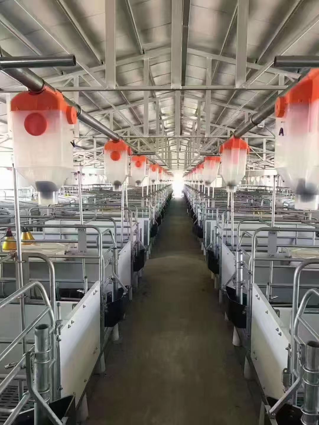 微信图片_20251219142835.jpg